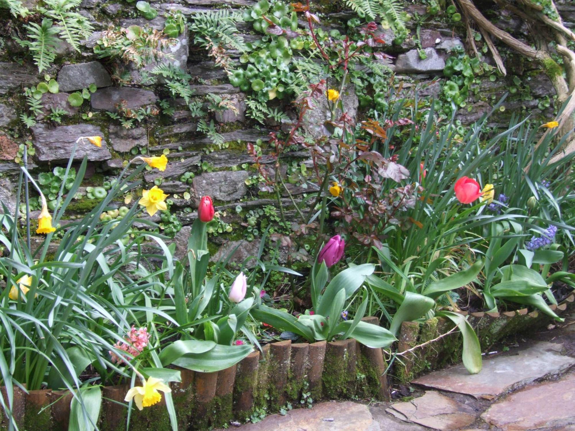 Inglenook Villa Kinsale Exterior foto
